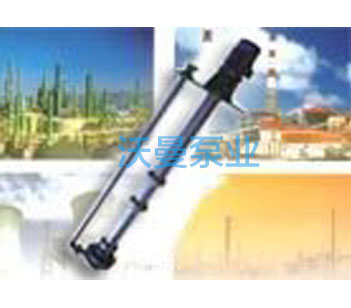 FWY型渣浆长轴液下泵